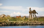 Lac Titicaca : Islas flotantes